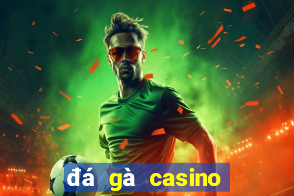 đá gà casino trực tiếp