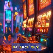 Cá cược trực tuyến coinplay