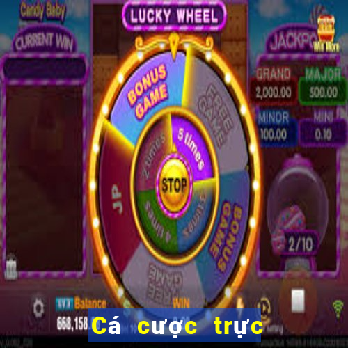 Cá cược trực tuyến i9bet