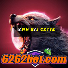 đánh bài catte