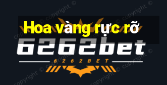 Hoa vàng rực rỡ