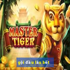 gội đầu lâu bết