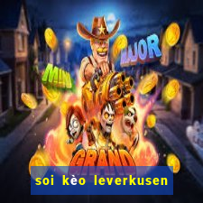 soi kèo leverkusen hôm nay