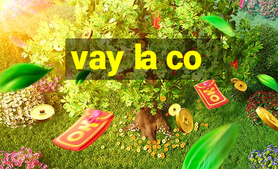 vay la co