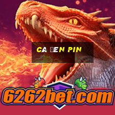 cá đèn pin