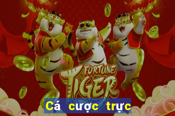 Cá cược trực tuyến Stake