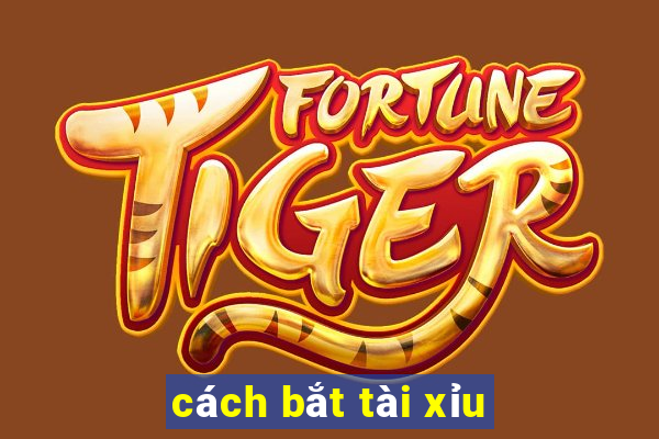 cách bắt tài xỉu