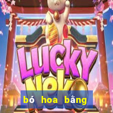 bó hoa bằng tiền 50k