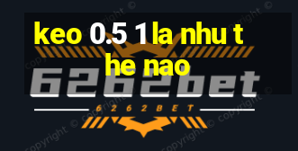 keo 0.5 1 la nhu the nao