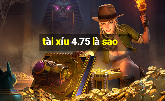 tài xỉu 4.75 là sao