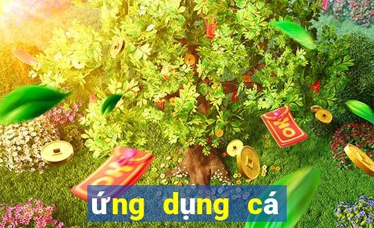 ứng dụng cá cược bóng đá