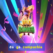 đá gà campuchia hôm qua