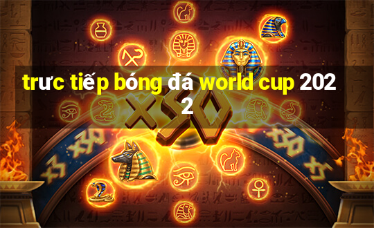 trưc tiếp bóng đá world cup 2022