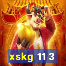 xskg 11 3