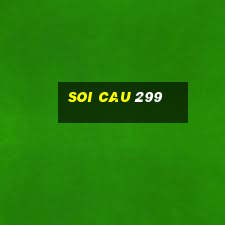 soi cau 299