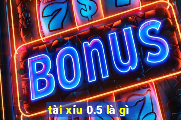 tài xỉu 0.5 là gì