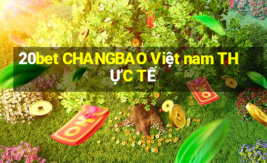 20bet CHANGBAO Việt nam THỰC TẾ