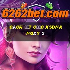 Cách đặt cược XSDNA ngày 3