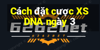 Cách đặt cược XSDNA ngày 3