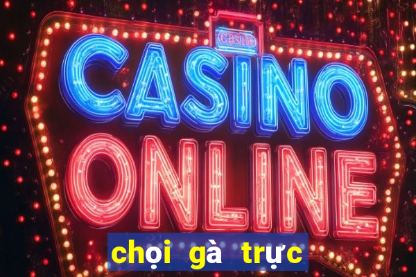 chọi gà trực tiếp c1