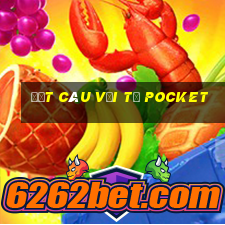 Đặt câu với từ pocket