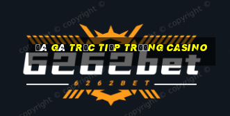 đá gà trực tiếp trường casino