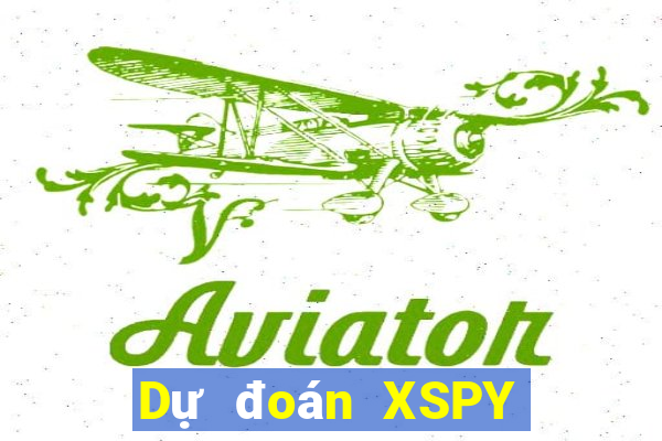 Dự đoán XSPY ngày 23