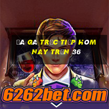 đá gà trực tiếp hôm nay trận 36