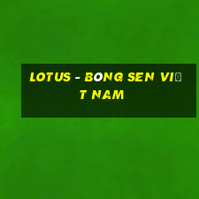 lotus - bông sen việt nam