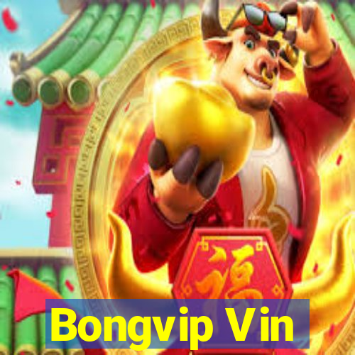 Bongvip Vin