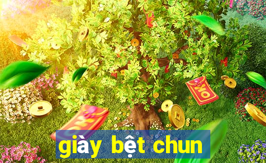 giày bệt chun