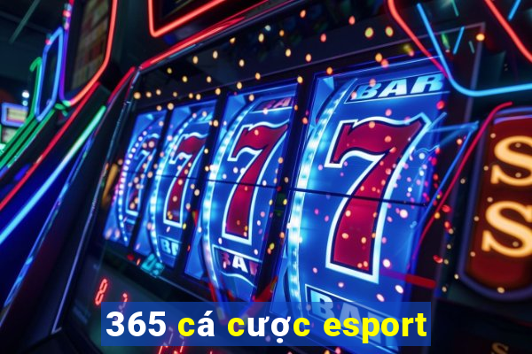 365 cá cược esport