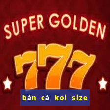 bán cá koi size nhỏ hà nội