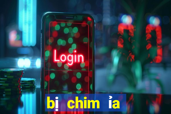 bị chim ỉa vào đầu đánh con gì