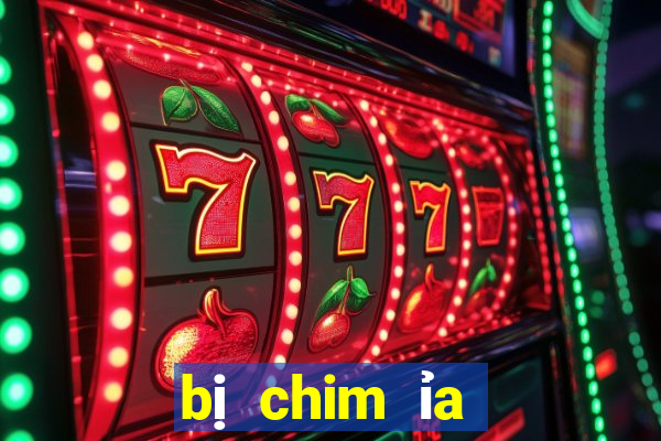 bị chim ỉa vào đầu đánh con gì