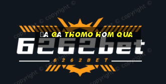 đá gà thomo hôm qua