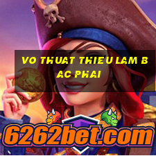 vo thuat thieu lam bac phai