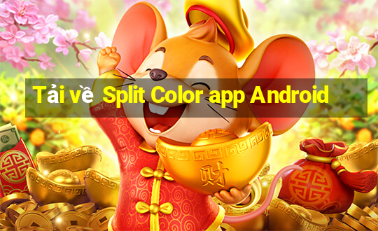 Tải về Split Color app Android