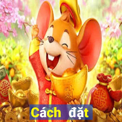 Cách đặt cược XSHP ngày 5