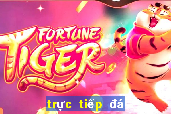 trực tiếp đá gà tre