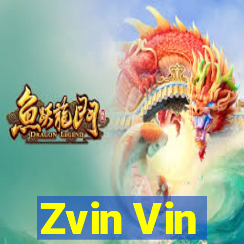 Zvin Vin