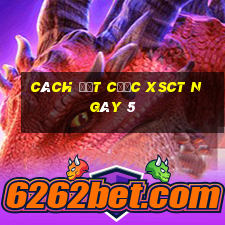 Cách đặt cược XSCT ngày 5