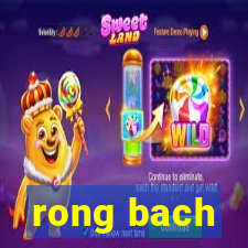 rong bach