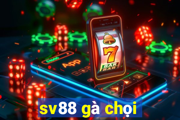 sv88 gà chọi