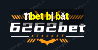 11bet bị bắt