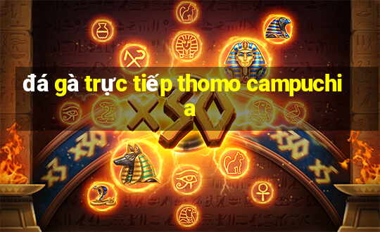 đá gà trực tiếp thomo campuchia