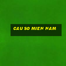 cau so mien nam