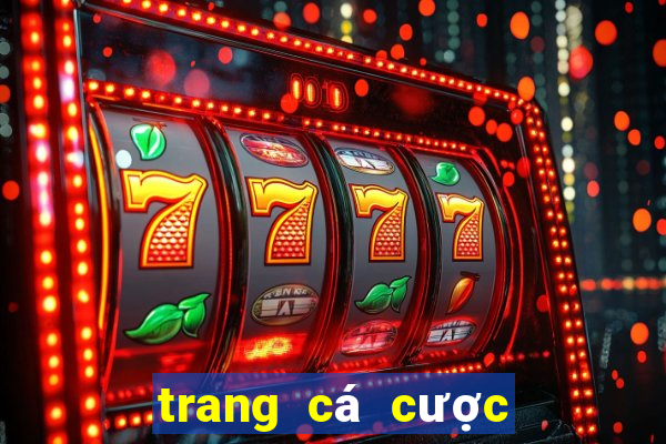 trang cá cược bóng đá uy tín