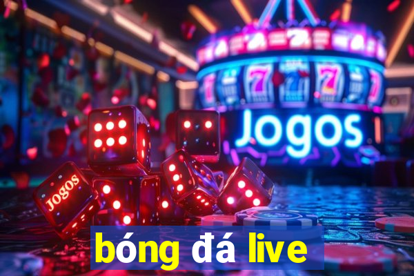 bóng đá live