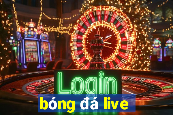 bóng đá live